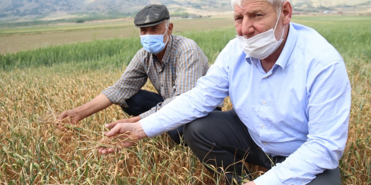 Sulama planlamasında yanlış karar iddiası