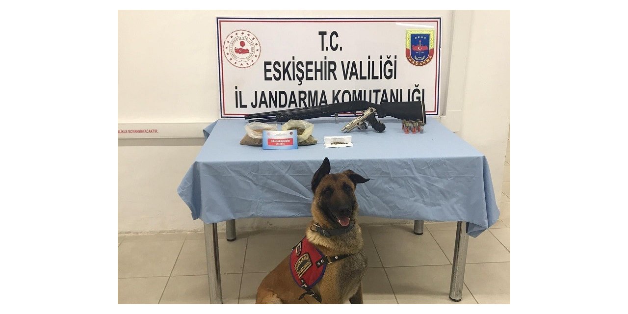 Tetik ve Alfa’dan uyuşturucu kaçmıyor