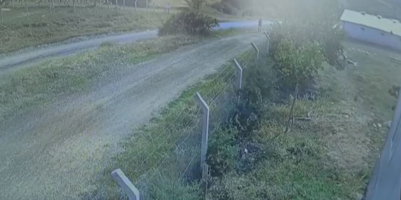 Kaçan kurbanlığın peşinden giden tıp öğrencisinin son görüntüleri ortaya çıktı