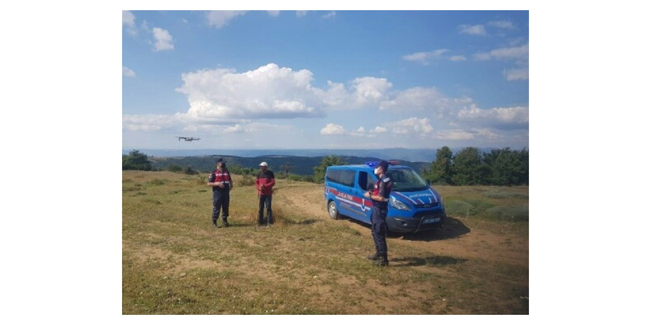 Kaybolan 3 adet büyükbaş hayvan jandarmanın drone çalışması ile bulundu