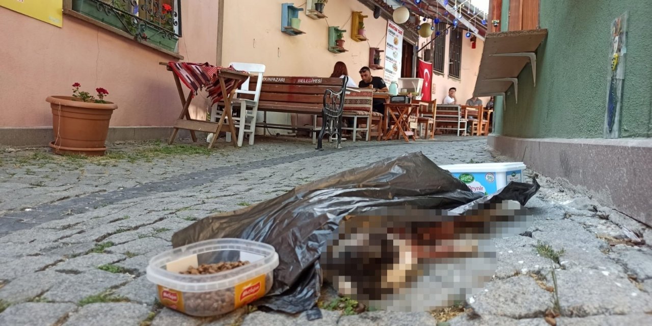 Eskişehir’de kedi vahşeti