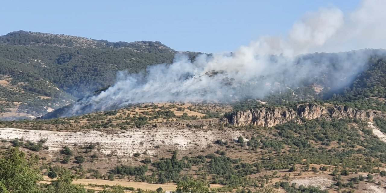 Başkent’te ormanlık alanda yangın