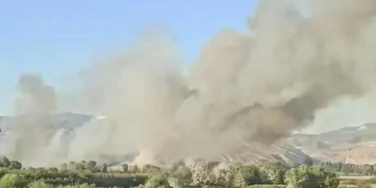 Nallıhan Kuş Cenneti’nde yangın