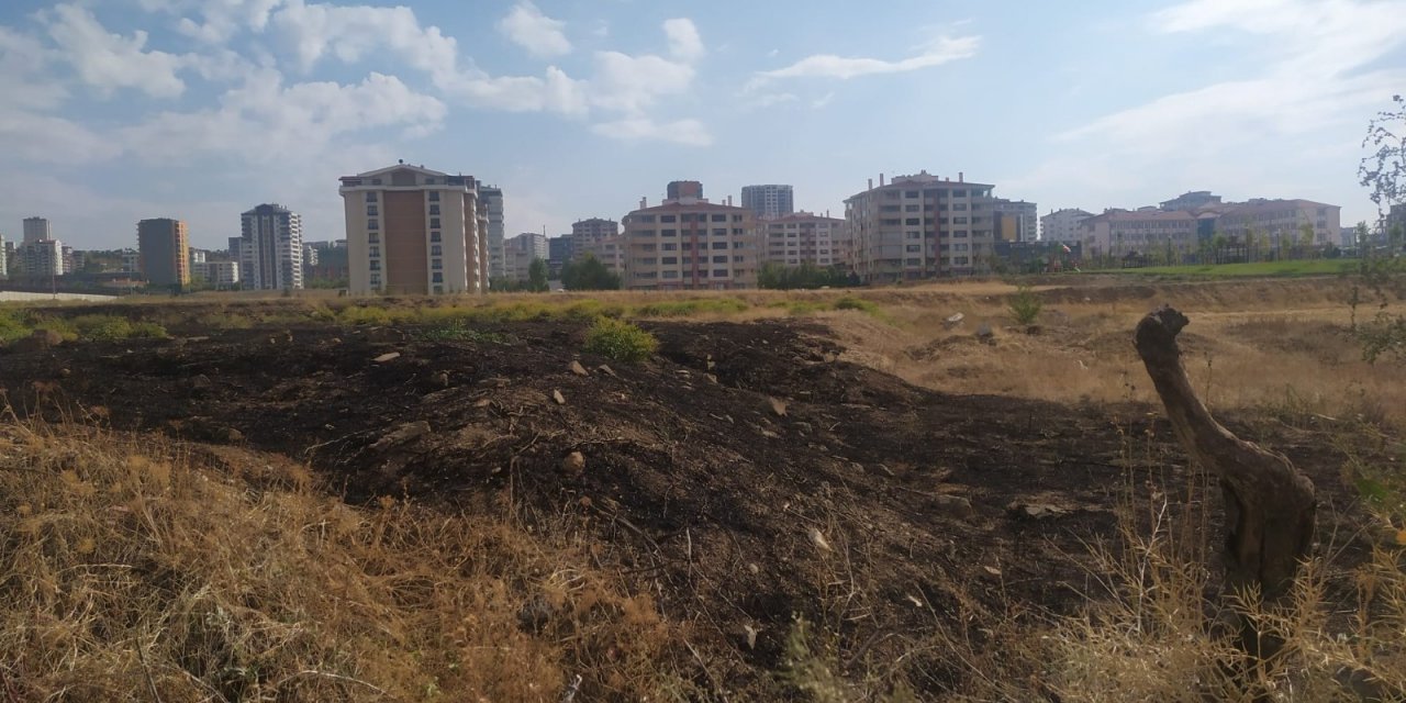 Başkent’te yıldırım düşen otluk alanda yangın çıktı