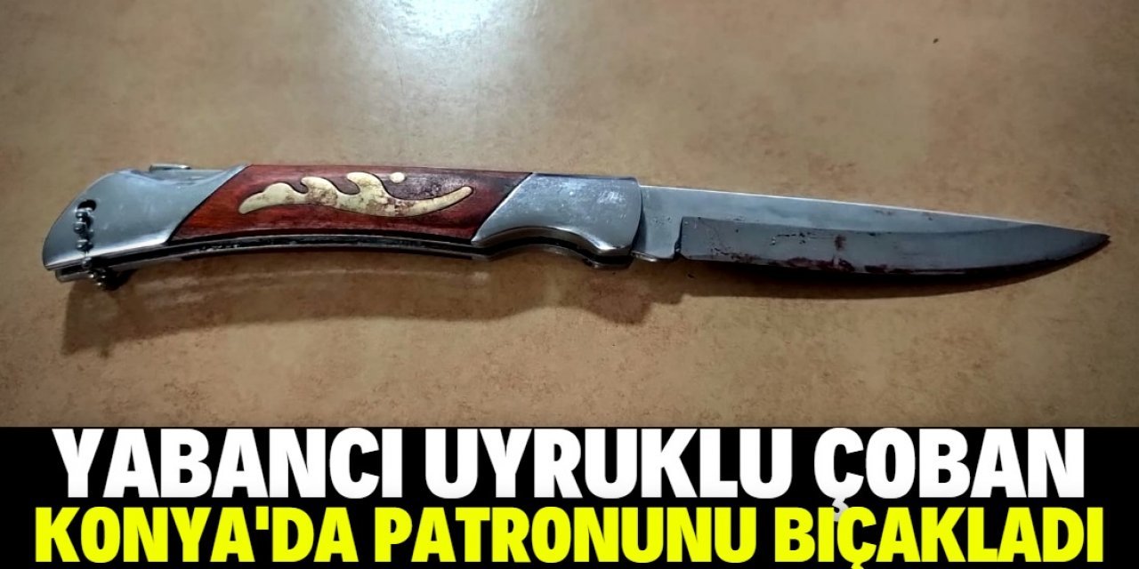 Konya'da çoban patronunu 7 yerinden bıçakladı