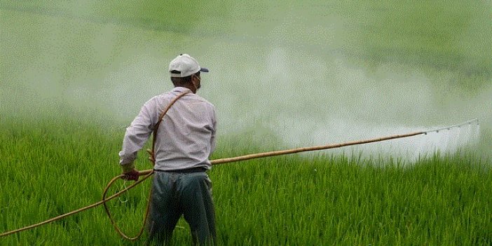 Çiftçiye Bakan'dan Müjde: “40 Milyon Euro Bütçe İle Hibe Desteği Sağlayacağız”