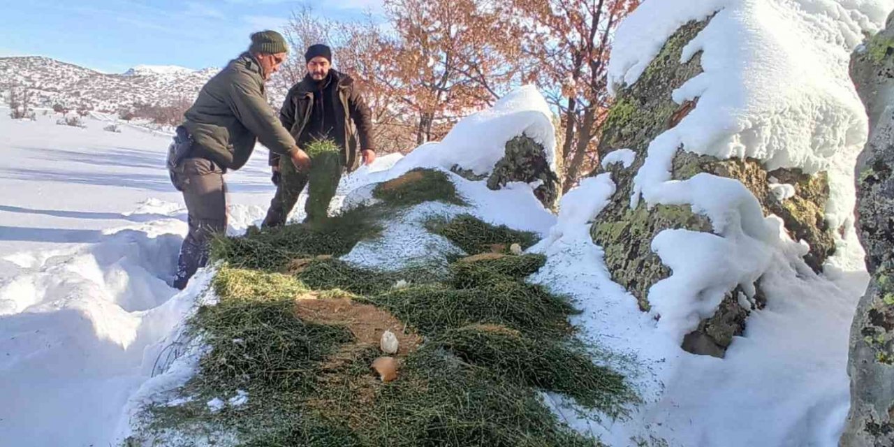 Konya’da yaban hayvanları için doğaya yem bırakıldı
