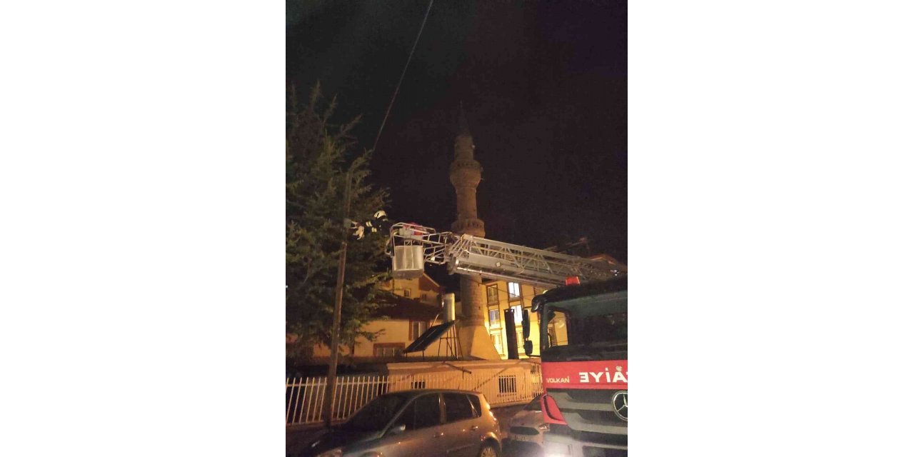Çıktığı direkten inemeyen kediyi itfaiye kurtardı