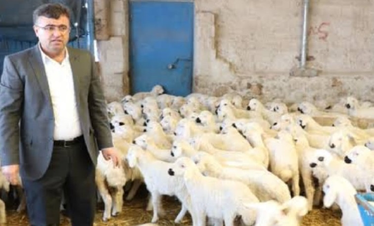 Yem fiyatlarındaki artış böyle sürerse et ve süt krizi kapıda