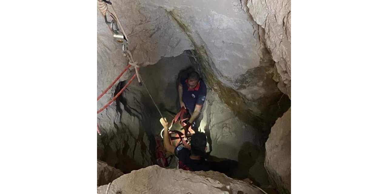 Kuyuya düşen ineği itfaiye kurtardı