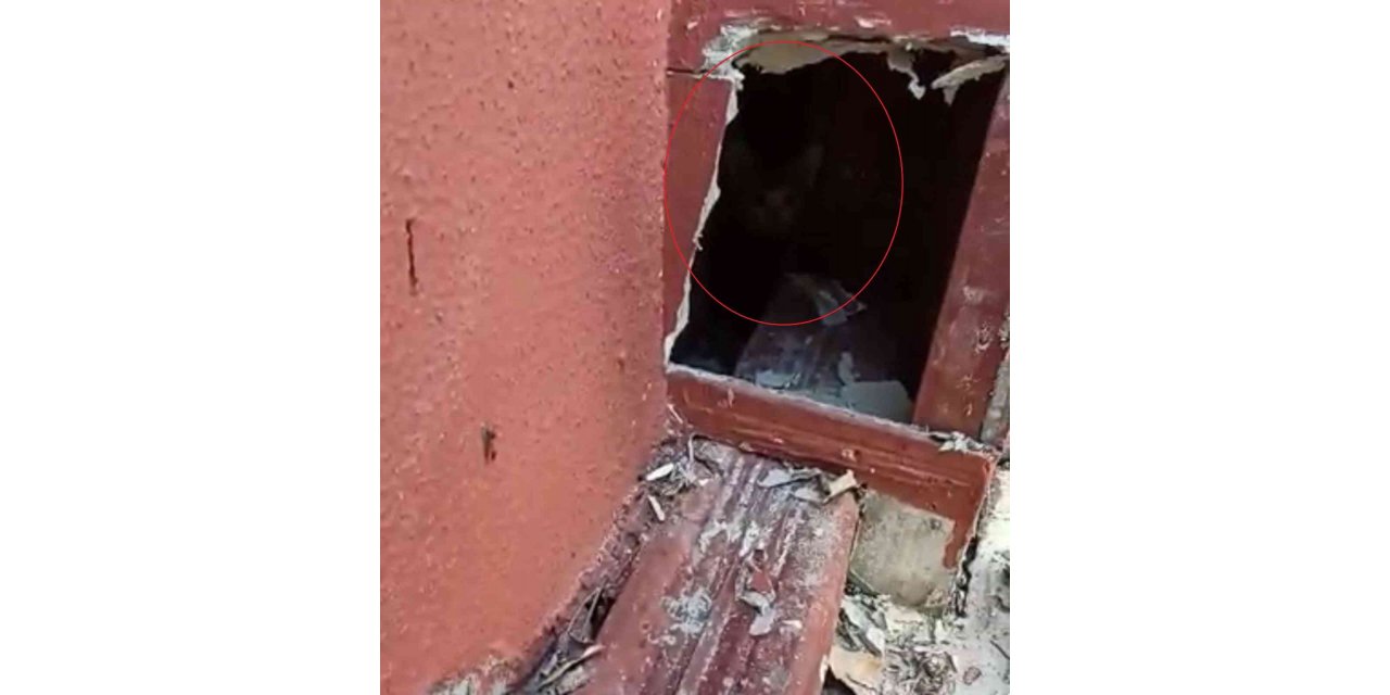 Sivas’ta baca oluğunda mahsur kalan yavru kediler itfaiye ekiplerince kurtarıldı