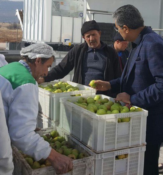 Torku elma suyu üretimine başladı