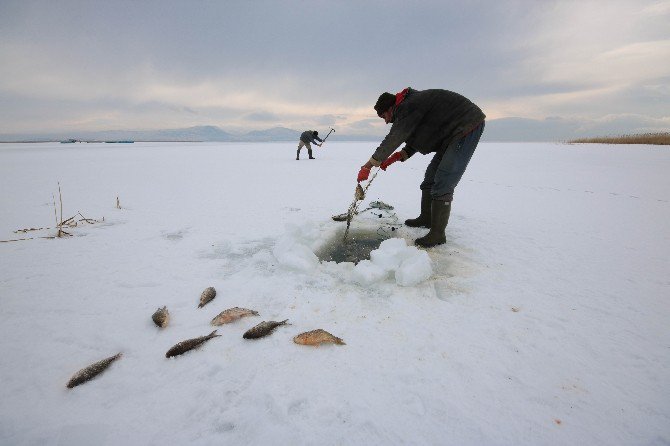 Buz tutan Beyşehir Gölü’nde “Eskimo” usulü balık avı