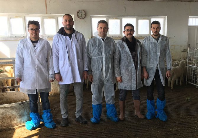 Piyeten hastalığıyla mücadelede ulusal aşı geliştirildi