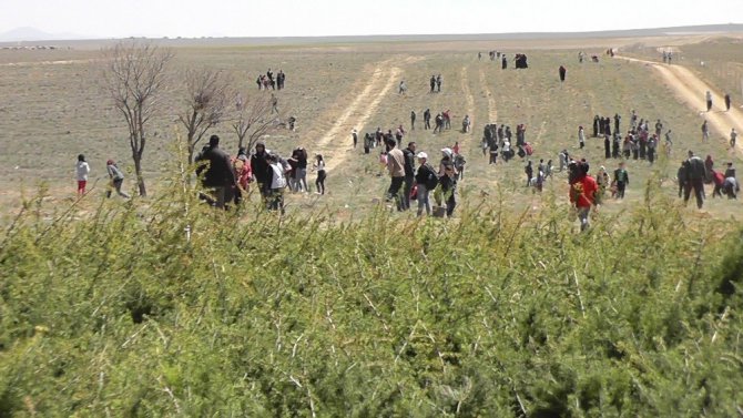 Kulu’da 7 bin 500 fidan toprakla buluşturuldu