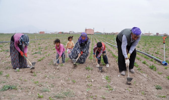 Başkan Karatay: "Aksaray, tarım ve hayvancılığın parlayan yıldızı"