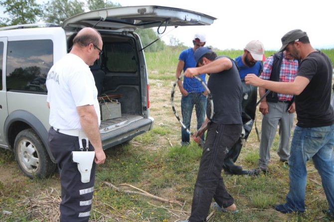 Beyşehir Gölü’nde elektroşoklu avcılar dronlu takiple suçüstü yakalandı