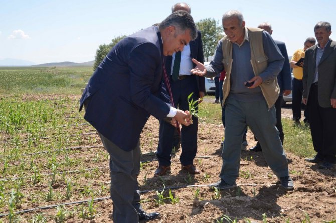Ereğli’de dolu yağışının ardından arazide incelemeler sürüyor