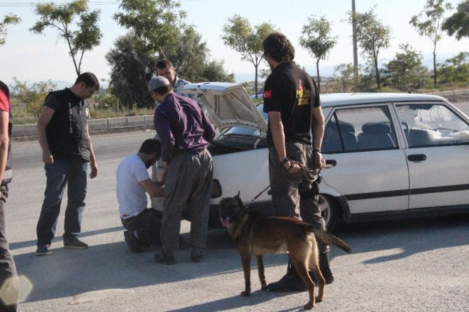 Narkotik köpeği ’Oscar’ bayram mesaisinde