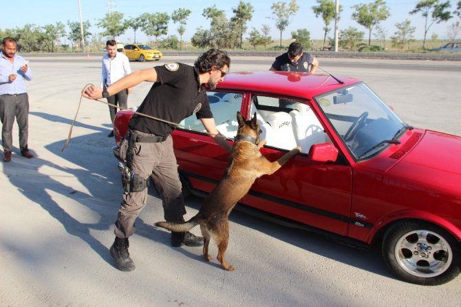 Narkotik köpeği ’Oscar’ bayram mesaisinde