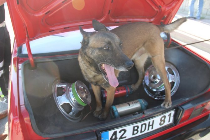 Narkotik köpeği ’Oscar’ bayram mesaisinde