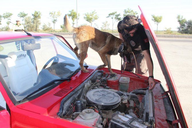 Narkotik köpeği ’Oscar’ bayram mesaisinde