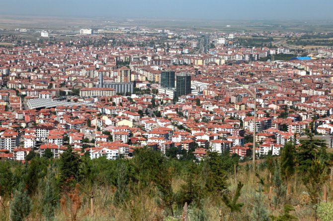 Kılıçaslan Tepesi’ne 7 bin 500 karaçam