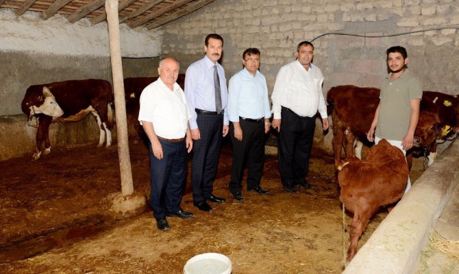 Genç çiftçi projesi şehirden köye göç ettirdi