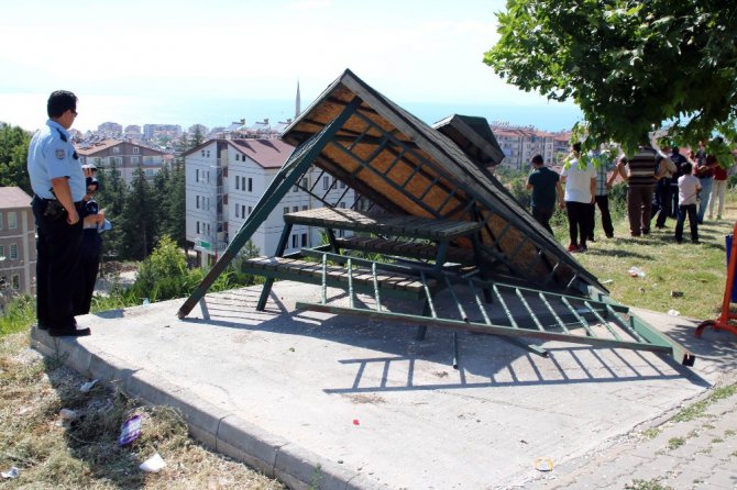 Kamelyaya çarpan otomobil 25 metrelik uçuruma yuvarlandı: 3 yaralı
