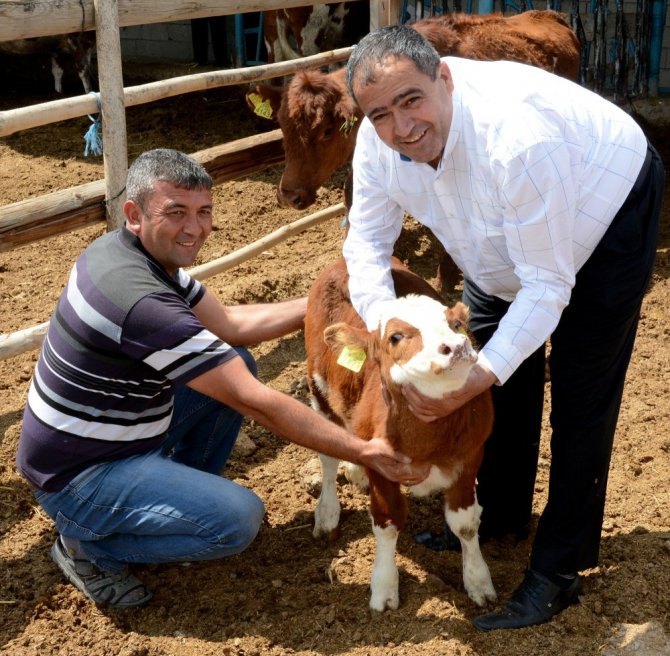 Genç çiftçi projesi şehirden köye göç ettirdi