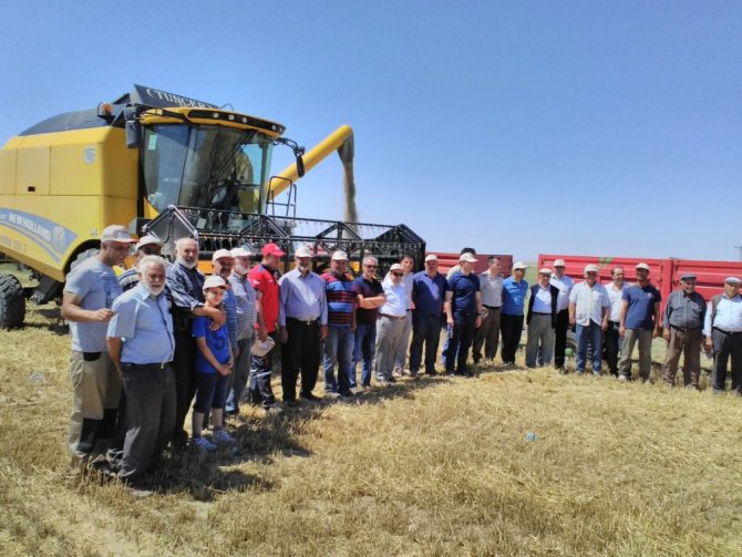 Kulu’da tarımsal mahsul hasadı başladı