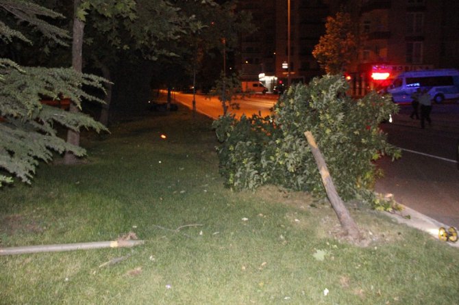 Motosiklet ağaca çarptı:1 ölü, 1 ağır yaralı