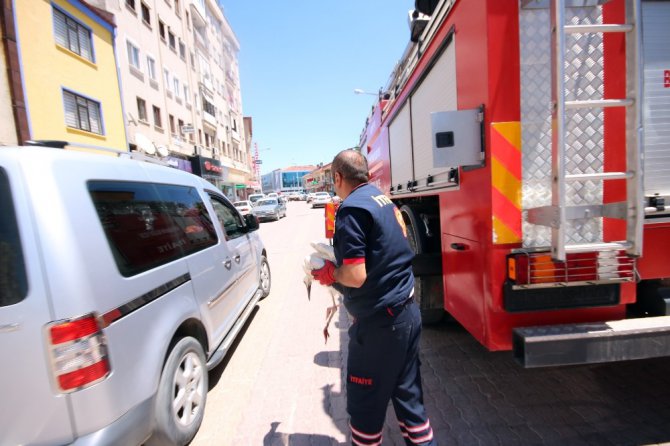 Yaralı leylek için seferber oldular
