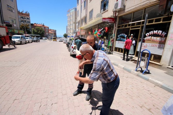 Yaralı leylek için seferber oldular