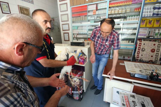 Yaralı leylek için seferber oldular