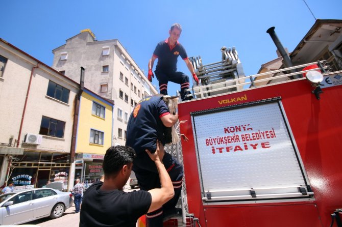 Yaralı leylek için seferber oldular