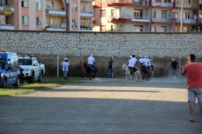 Eşeğe binme ve en güzel gözlü eşek yarışları yapıldı