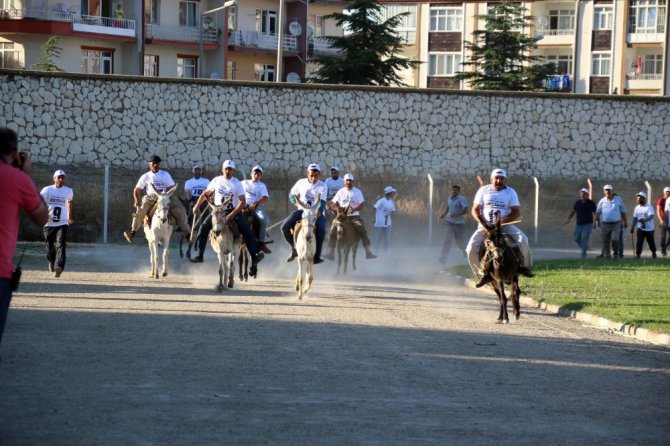 Eşeğe binme ve en güzel gözlü eşek yarışları yapıldı