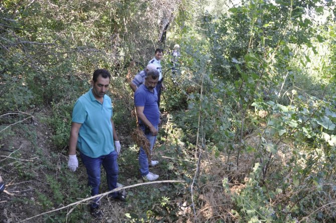 Araziye damlama sulama sistemi kurup Hint keneviri ekmiş