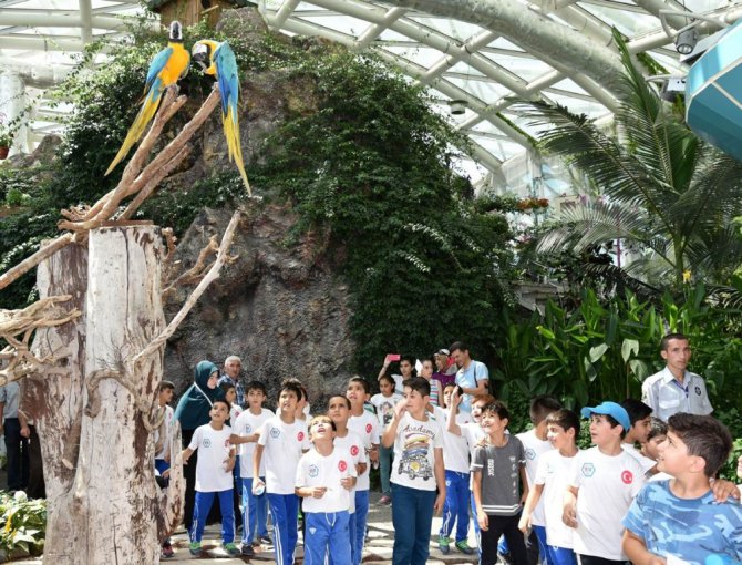 Hatıra Yaz Okulu öğrencileri Tropikal Kelebek Bahçesi’ni gezdi
