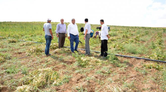 Aksaray’da yapılan gölet kıraç topraklara hayat verdi