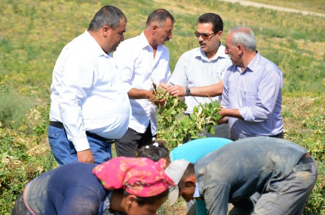 Aksaray’da yapılan gölet kıraç topraklara hayat verdi