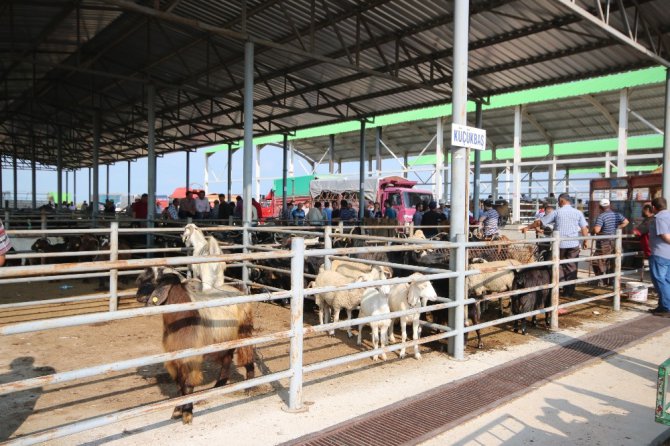 Beyşehir’de hayvan pazarında hazırlıklar tamamlandı