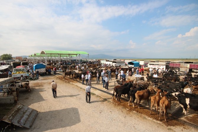 Beyşehir’de hayvan pazarında hazırlıklar tamamlandı