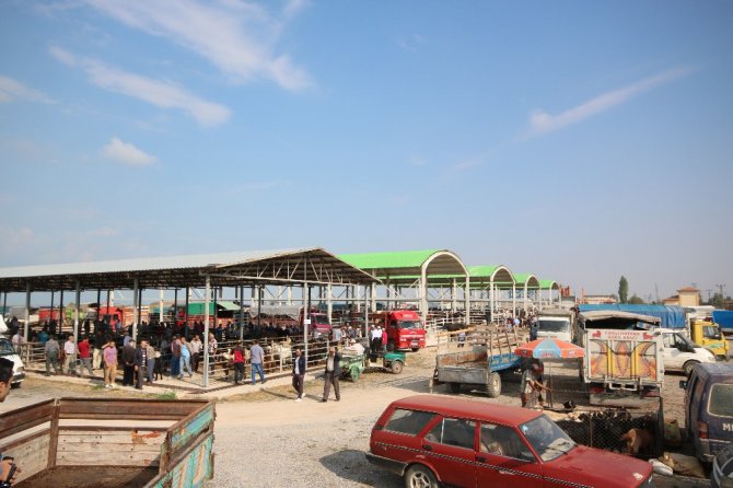 Beyşehir’de hayvan pazarında hazırlıklar tamamlandı