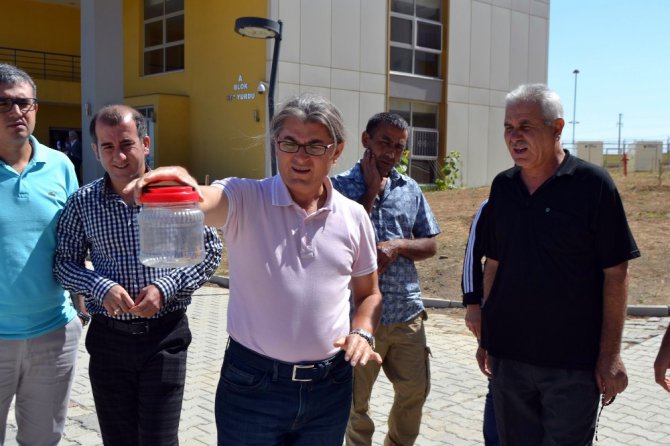 Konya’da etobur örümcek ‘sarıkız’ tedirginliği