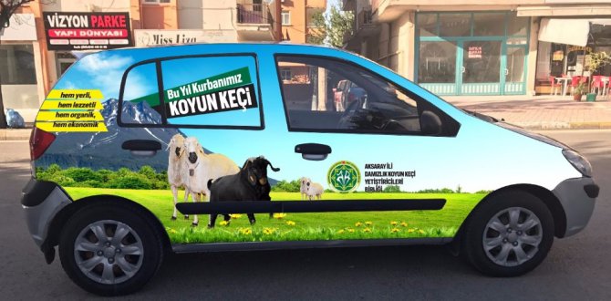 Bayramda ‘küçükbaş hayvan kurban edin’ çağrısı