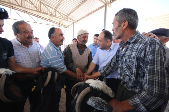 Başkan Özaltun’dan kapalı hayvan pazarı ziyareti