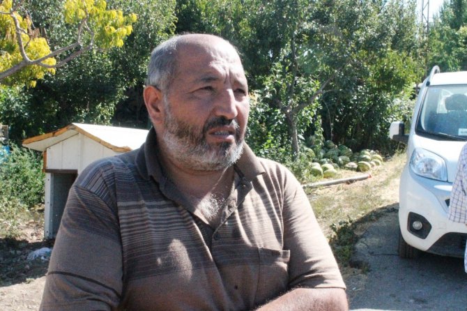 Konya’da besihanedeki 19 büyükbaş hayvan telef olmuş halde bulundu