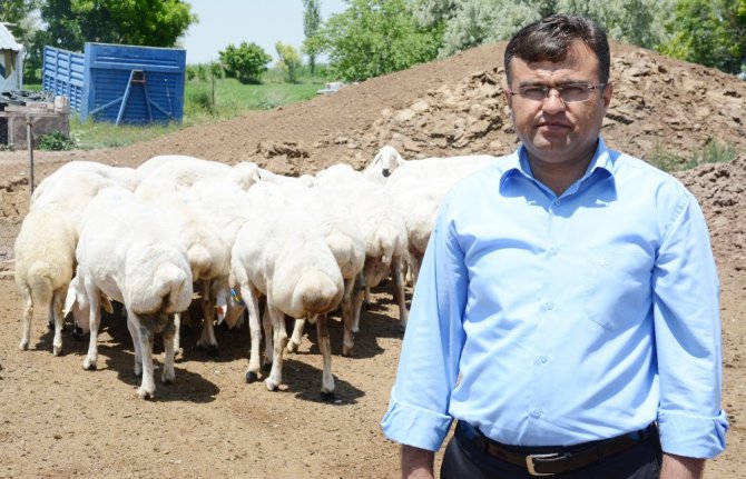 Aktürk: “Türkiye’nin et açığını küçükbaş hayvancılık kapatır”
